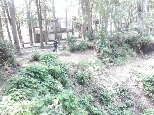 عکس یخچال طبیعی چمارسرا