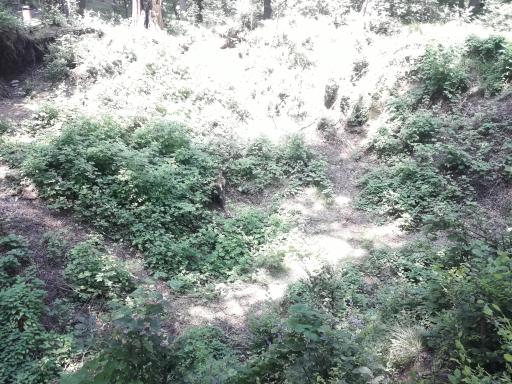 عکس یخچال طبیعی چمارسرا