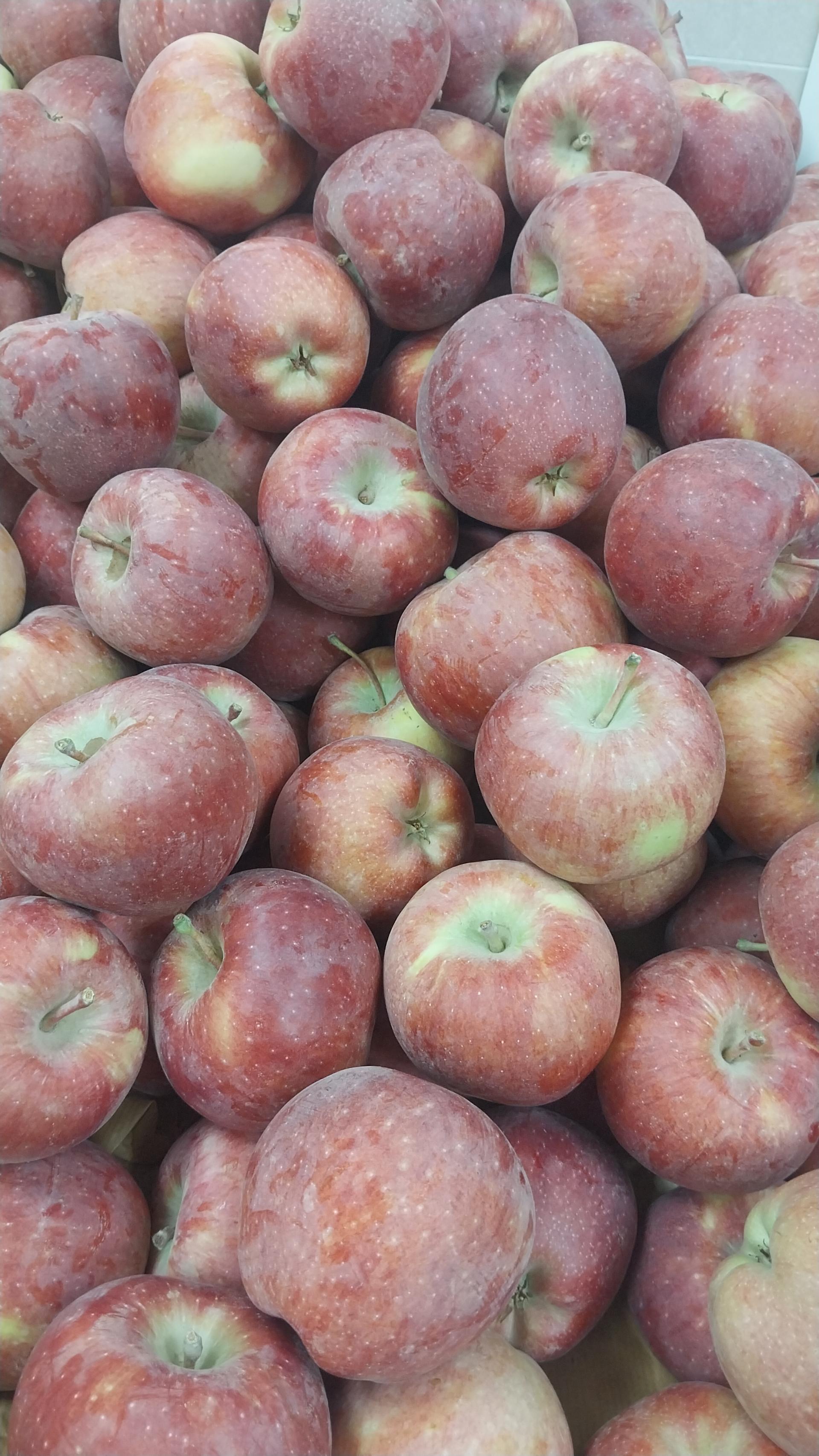 عکس میوه سرای هِیوا 