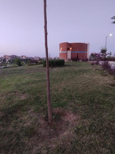 سرویس بهداشتی