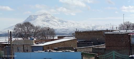 عکس بیفانج