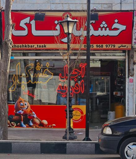 عکس خشکبار تاک