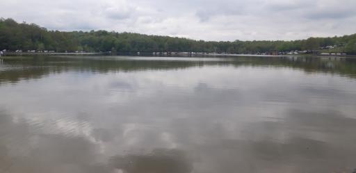 عکس جنگل اطراف سد خاکی سقالکسار