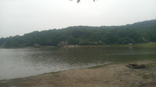 عکس جنگل اطراف سد خاکی سقالکسار