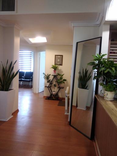 مرکز مشاوره خانواده محمدی پناه