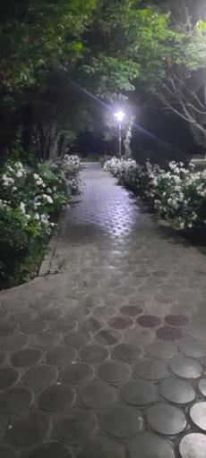 عکس پارک قلمستان