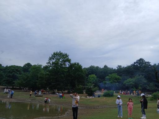 عکس جنگل اطراف سد خاکی سقالکسار