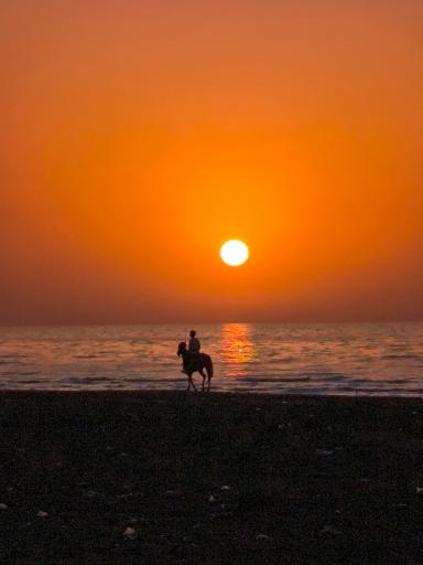 عکس مجتمع آموزشی، فرهنگی و ورزشی صندوق رفاه دانشجویان