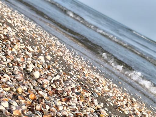 عکس مجتمع آموزشی، فرهنگی و ورزشی صندوق رفاه دانشجویان