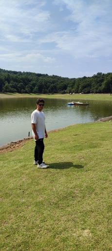 عکس جنگل اطراف سد خاکی سقالکسار