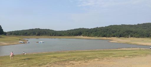 عکس جنگل اطراف سد خاکی سقالکسار