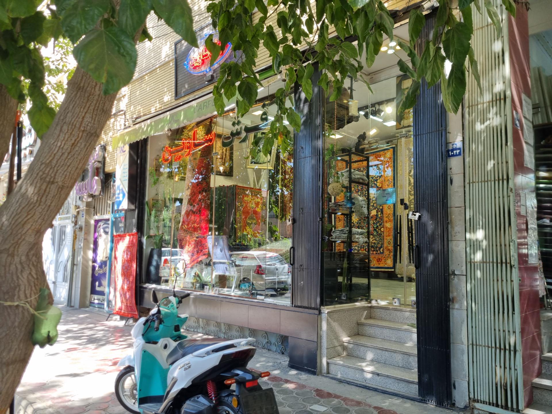 عکس فرش ساوین