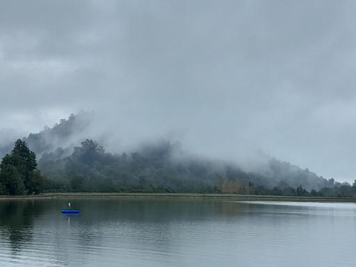 عکس جنگل اطراف سد خاکی سقالکسار