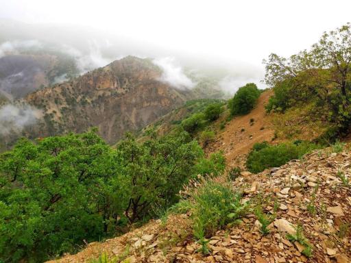 عکس دره ویان بالا