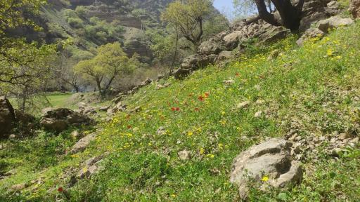 عکس دره ویان بالا