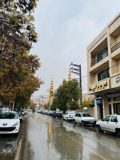 عکس فیزیوتراپی شفا