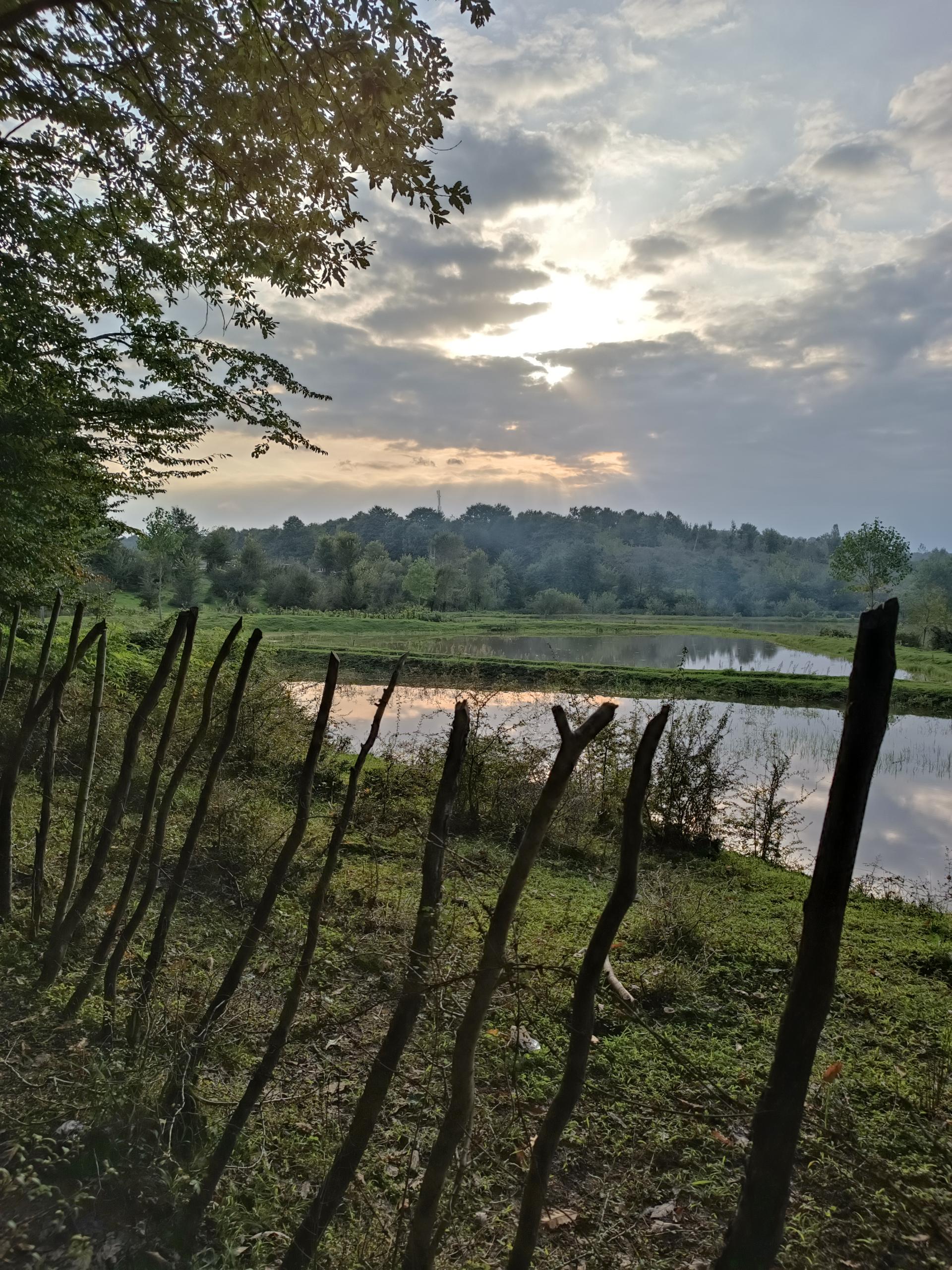 عکس جنگل اطراف سد خاکی سقالکسار