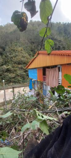 عکس مسافرخانه چوبی مهیار