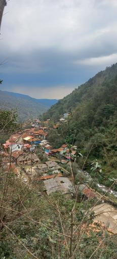 عکس مسافرخانه چوبی مهیار