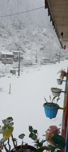 عکس مسافرخانه چوبی مهیار