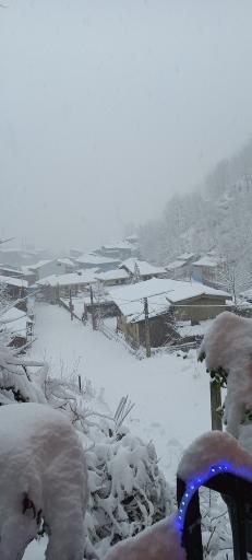 عکس مسافرخانه چوبی مهیار