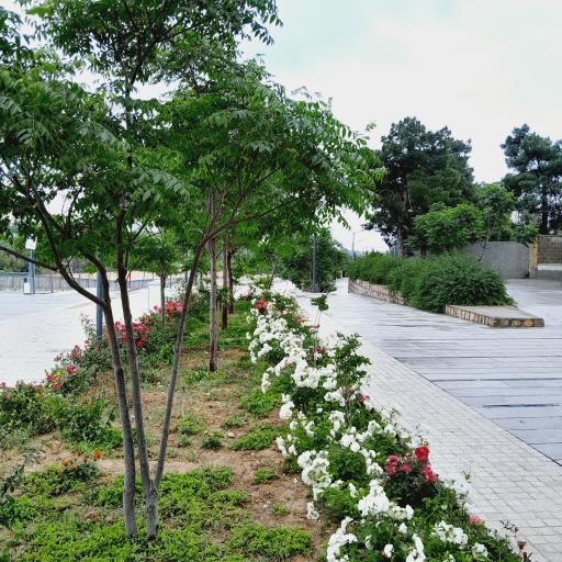 عکس پیاده روی سلامت