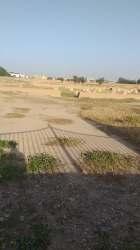 عکس کاخ اردشیر دوم، کاخ شاوور شهر شوش