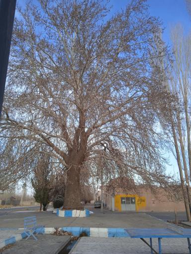 عکس پارک هزار