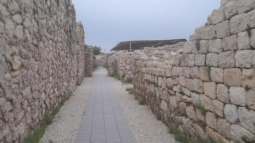 عکس شهر باستانی بیشاپور