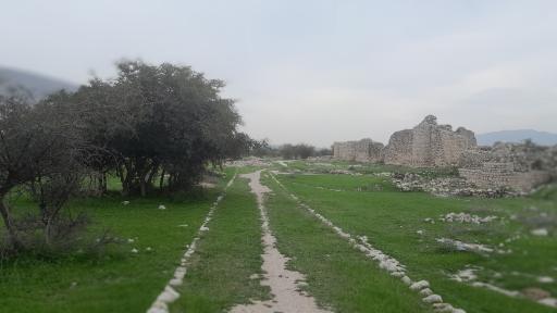 عکس شهر باستانی بیشاپور