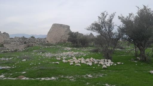 عکس شهر باستانی بیشاپور