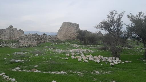 عکس شهر باستانی بیشاپور