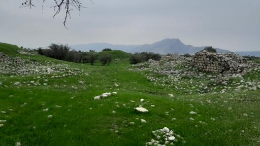 عکس شهر باستانی بیشاپور