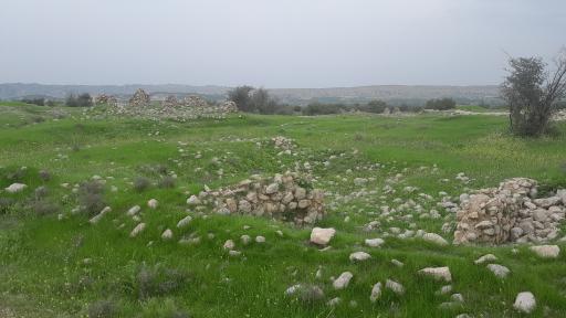 عکس شهر باستانی بیشاپور