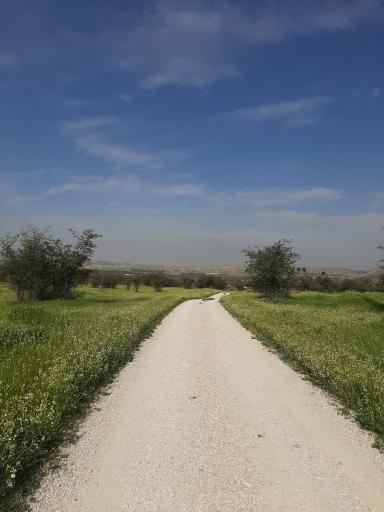 عکس شهر باستانی بیشاپور