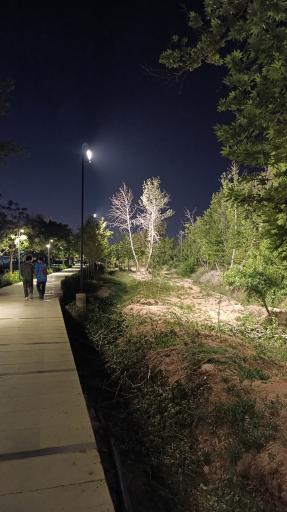 پیاده روی سلامت