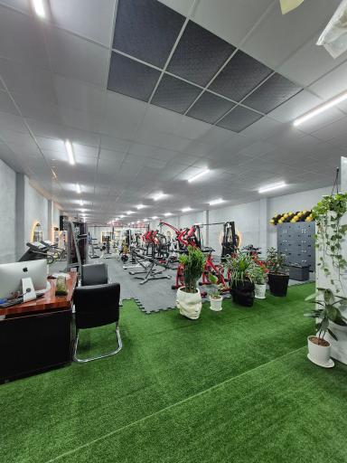 عکس باشگاه ورزشی ضربان (ویژه بانوان)