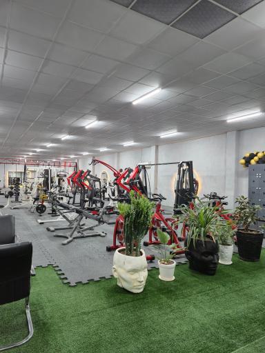 باشگاه ورزشی بانوان ضربان