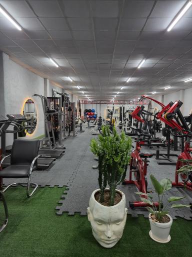 باشگاه ورزشی بانوان ضربان