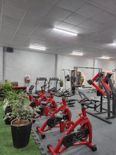 عکس باشگاه ورزشی ضربان (ویژه بانوان)