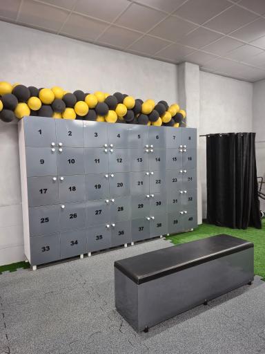 باشگاه ورزشی بانوان ضربان