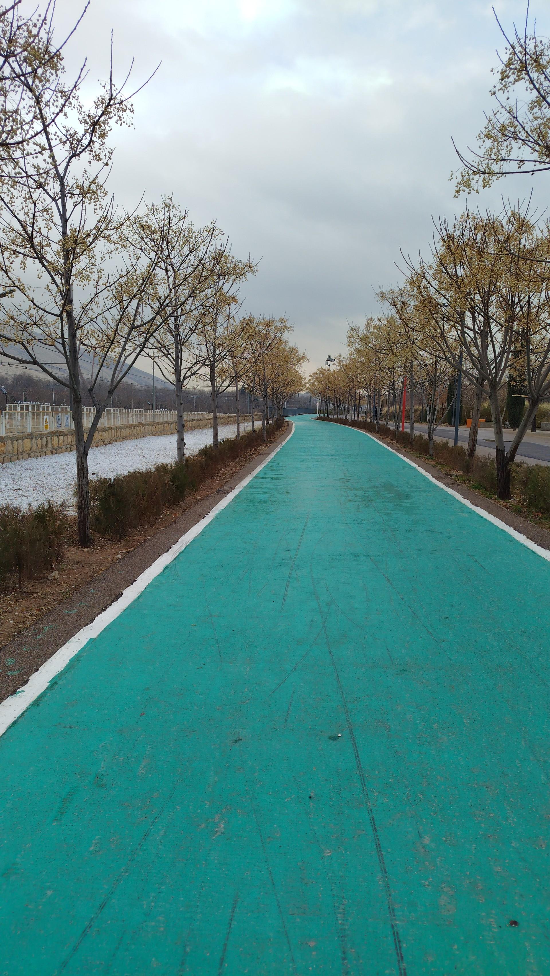 عکس پیاده روی سلامت