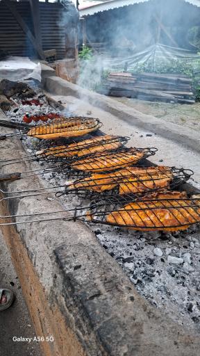 عکس مسافرخانه چوبی مهیار