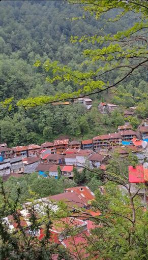 عکس مسافرخانه چوبی مهیار