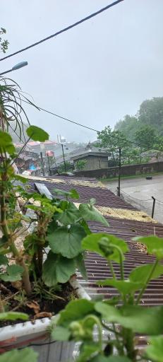 عکس مسافرخانه چوبی مهیار