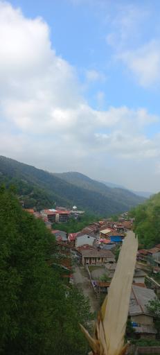 عکس مسافرخانه چوبی مهیار