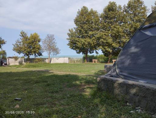 عکس پارک شورا