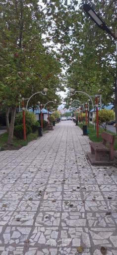 عکس پارک شورا