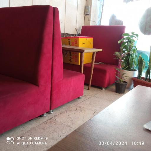 عکس پیتزا ریحون 