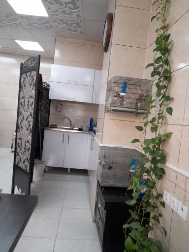 عکس املاک زیارت 